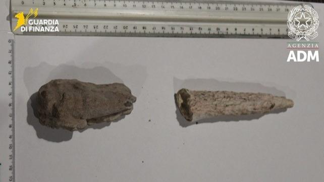 In valigia stalattiti staccate da una grotta protetta e minerali preziosi, turista bloccato in aeroporto