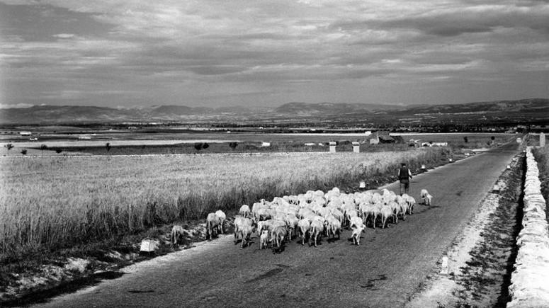 Una fotografia di Jean Dieuzaide