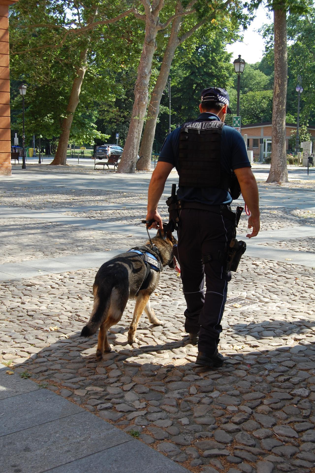 Dal Parco del Popolo all'ex Zucchi: il cane Lupo passa al setaccio il centro storico contro lo spaccio