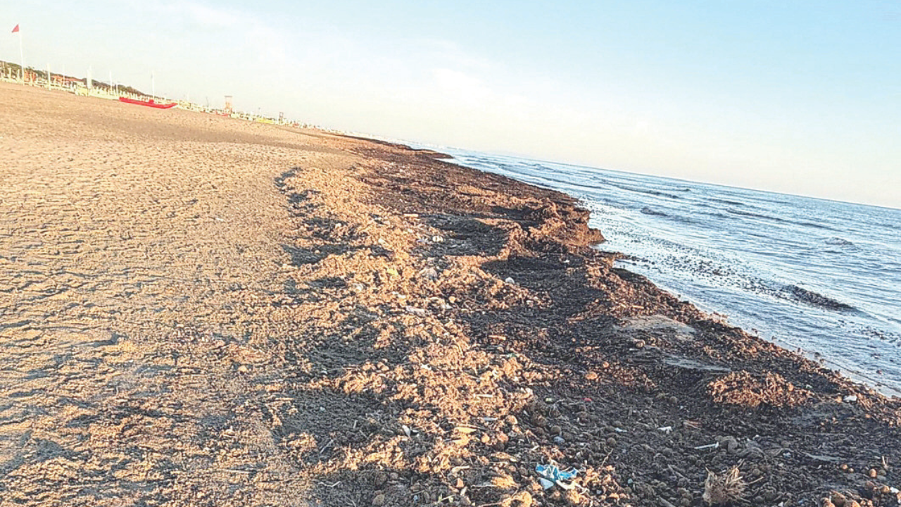 Il lavarone sulle spiagge del Forte