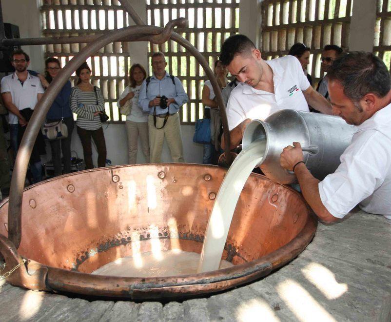 Reggiano, quotazioni in picchiata 