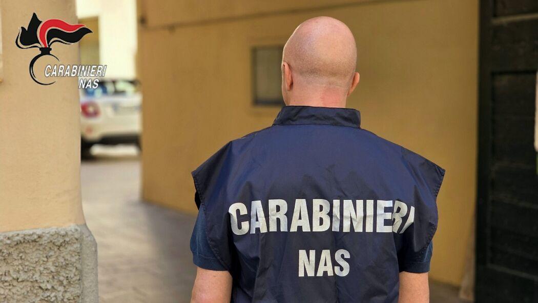 Controlli anti-Peste suina africana: sequestrati e abbattuti tre maiali in un allevamento irregolare