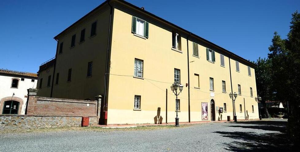 
	La Cinquantina di Cecina

