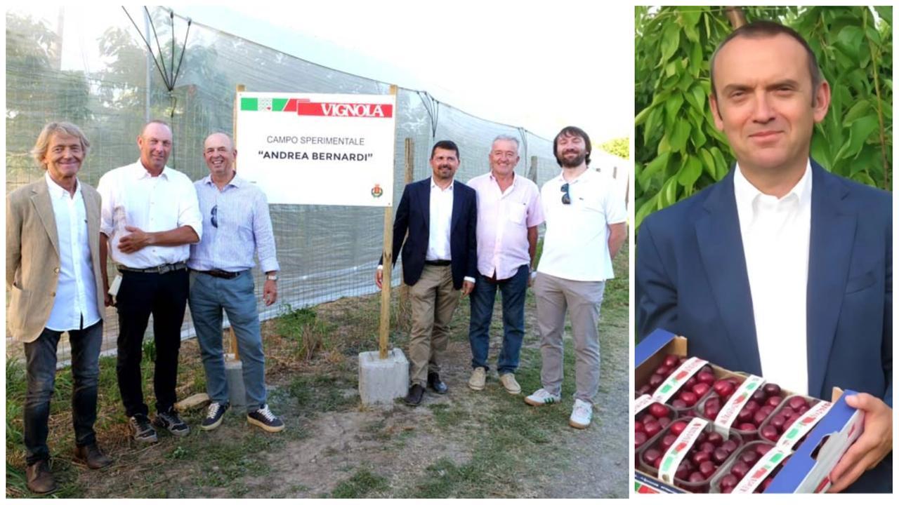Vignola, nasce il campo dove si studia la ciliegia: «Dedicato ad Andrea Bernardi, il presidente del Consorzio scomparso»