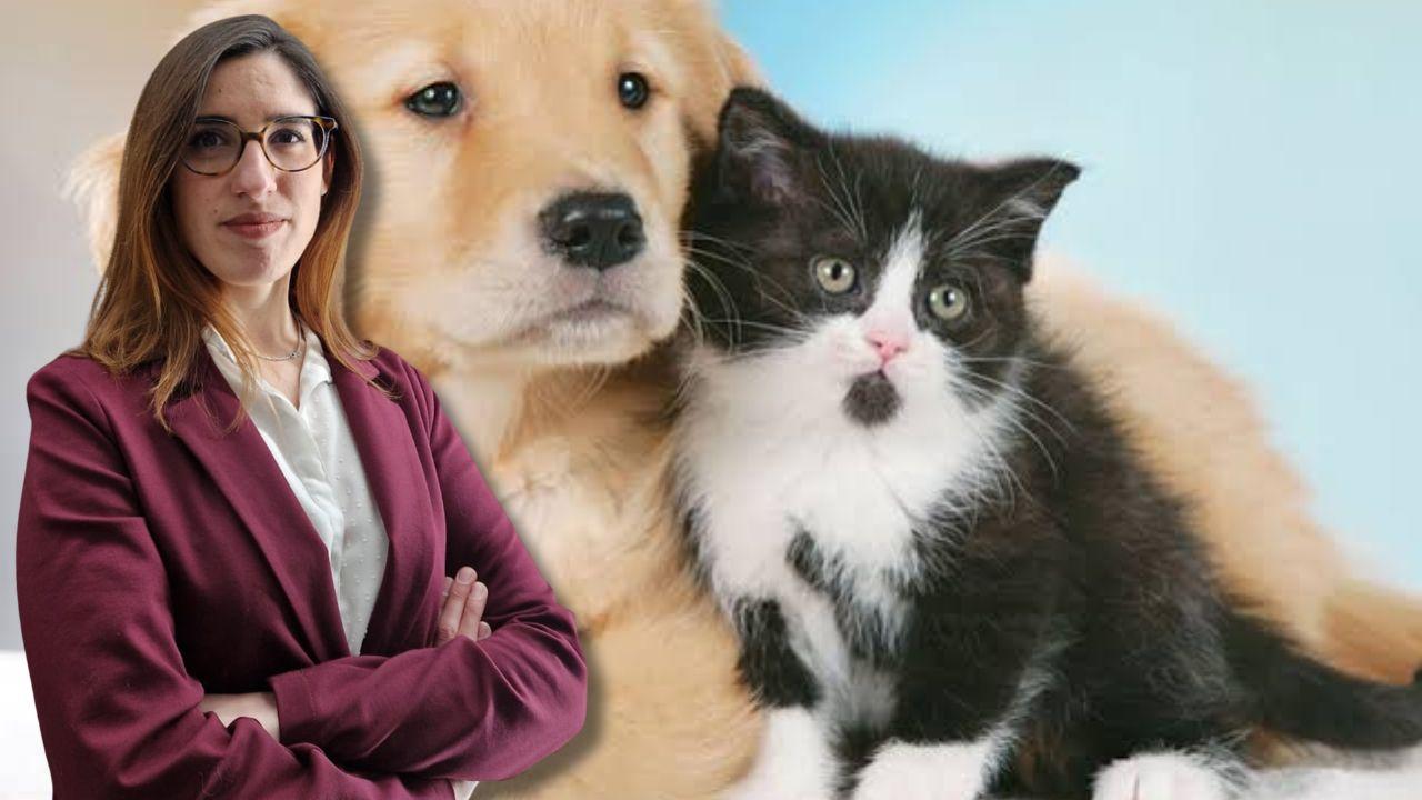 Un accordo scritto per l’animale domestico in caso di separazione