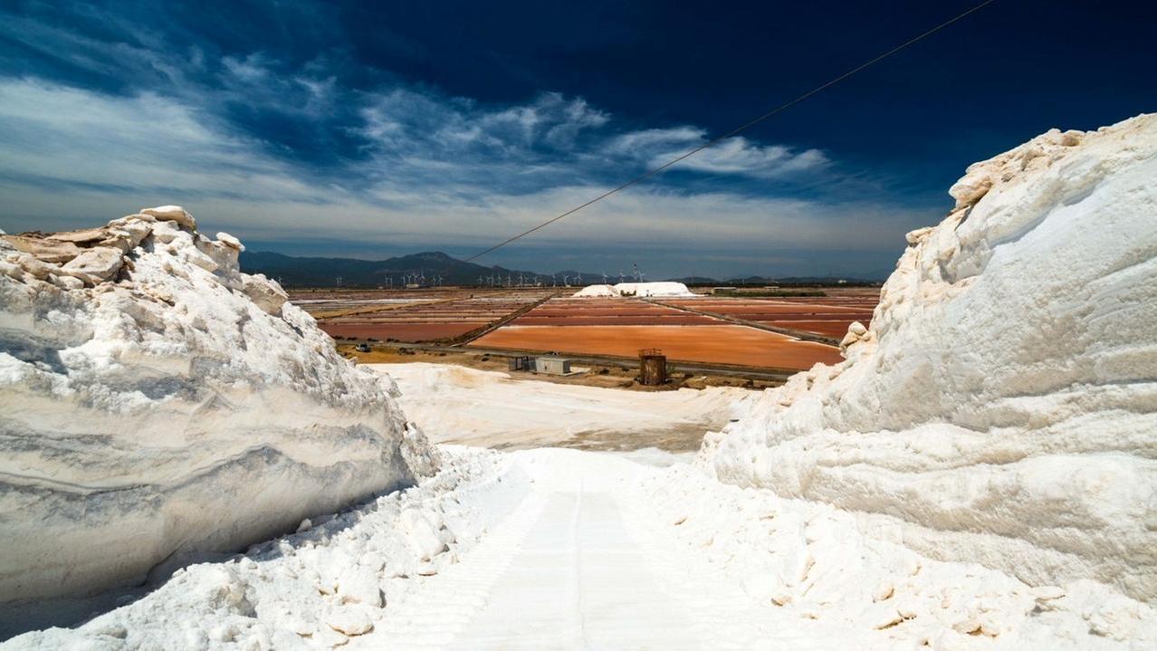 Incendio del Montiferru, alle Saline Conti Vecchi un progetto fotografico sulla rinascita – L’iniziativa del Fai