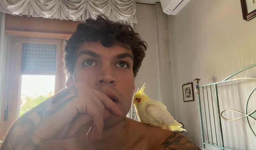 Blanco, il pappagallo e il ripasso social in vista dell’esame di Maturità – IL VIDEO