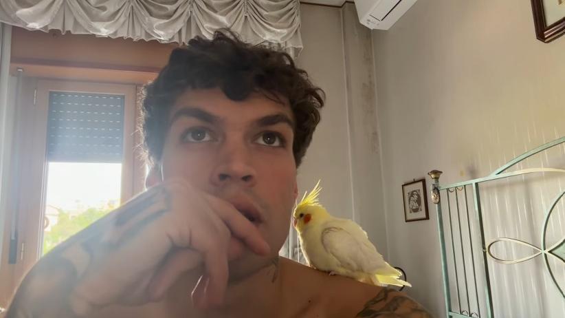 Blanco, il pappagallo e il ripasso social in vista dell’esame di Maturità – IL VIDEO
