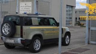 Stava dando fuoco a un campo di grano, arrestato allevatore di 78 anni