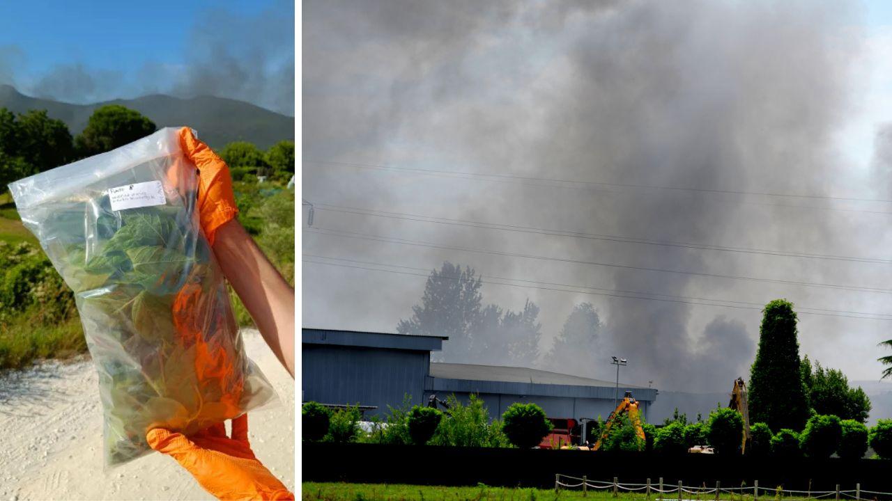 Incendio alla Delca di Vicopisano, Arpat: «Nessuna contaminazione sui campioni vegetali» – I risultati delle analisi