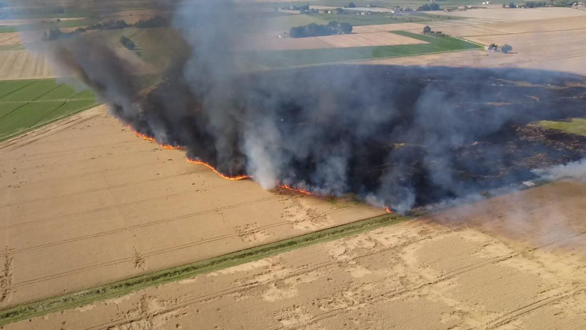 Vasto incendio nei campi a Santa Maria Codifiume, sfiorate anche le case