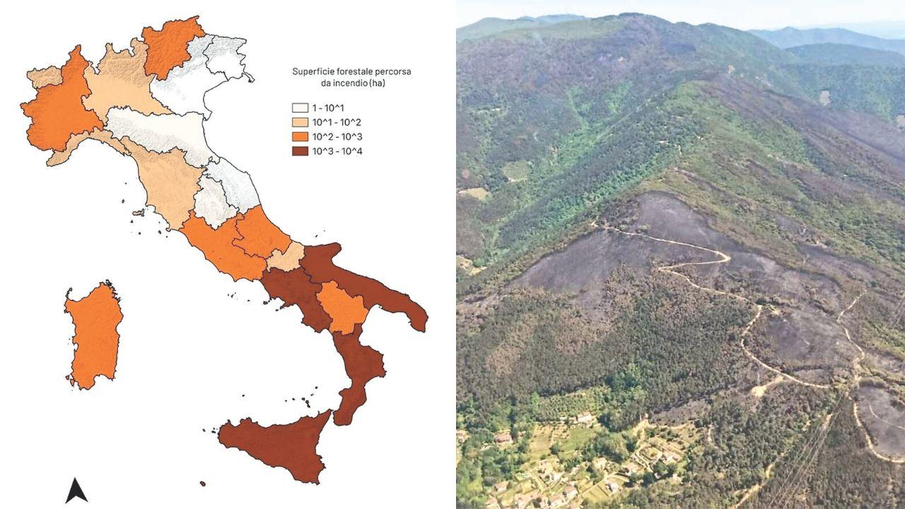 Emergenza incendi, la Toscana brucia di più: per prevenire le catastrofi sono nati cinque “Firewise” – Che cosa sono