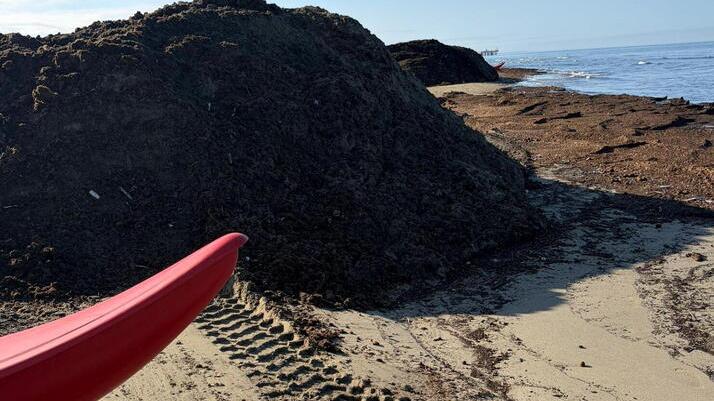 Lavarone in Versilia, corsa contro il tempo per riuscire a ripulire la spiaggia: il caso di Pietrasanta