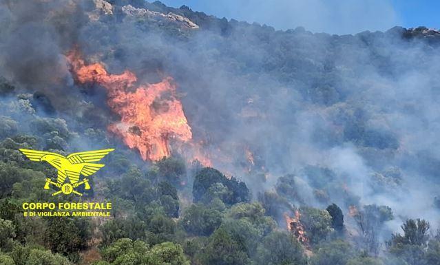 Ancora incendi, bruciano le campagne: in azione tre mezzi aerei