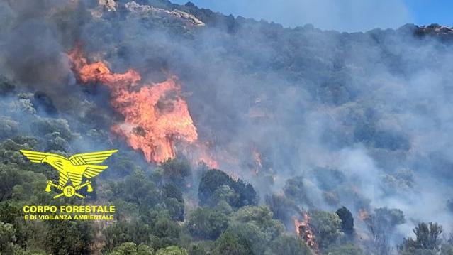 L'incendio nelle campagne di Teulada