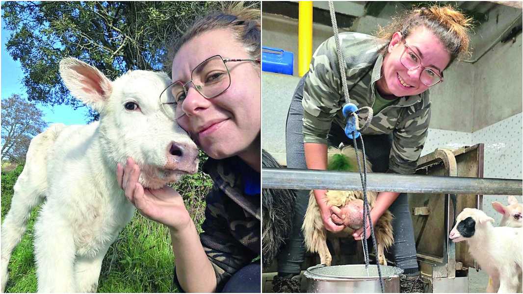 La vita in campagna, le pecore e la pastora: «Io così mi sento viva, ma non è una favola»