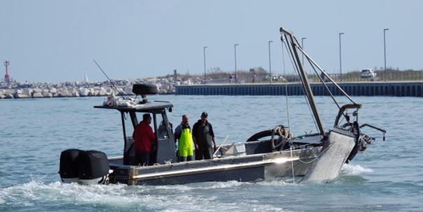 Acquacoltura e venericoltura: la Regione in aiuto ai pescatori di Goro e Comacchio