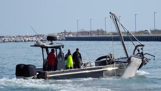Acquacoltura e venericoltura: la Regione in aiuto ai pescatori di Goro e Comacchio