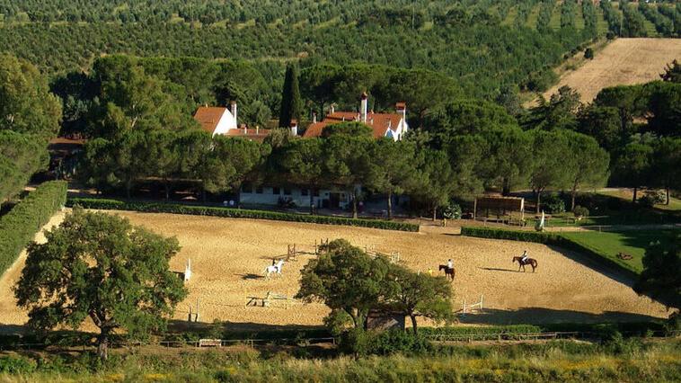 Cade da cavallo, paura al maneggio: una 18enne soccorsa da Pegaso<br>
