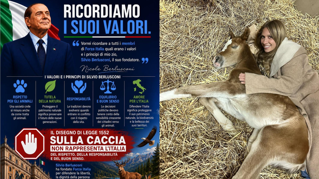 Nicole Berlusconi contro la riforma della caccia: «Forza Italia ricordi i valori di Silvio»