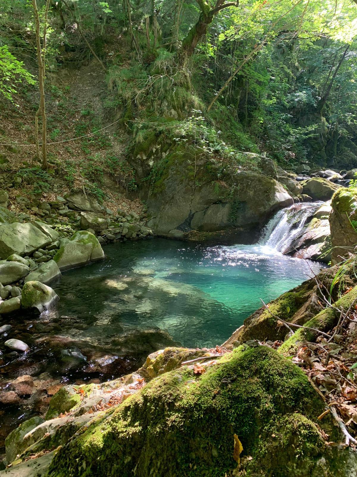 Ventasso, alla scoperta dei Giardini dell'Acqua: relax nella natura, trote e menù a km0