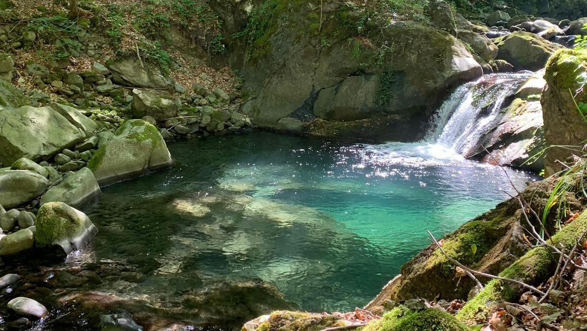 Ventasso, alla scoperta dei Giardini dell'Acqua: relax nella natura, trote e menù a km0