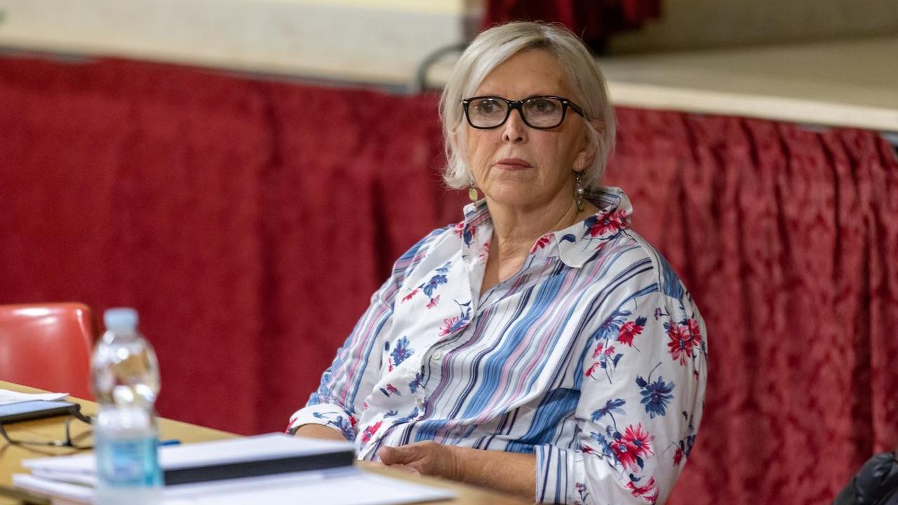 Vandali in azione a Pontelagoscuro, insultata l’ex consigliera Anna Ferraresi