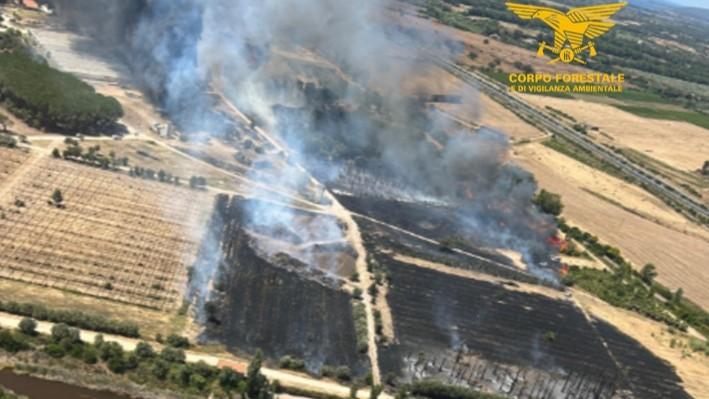 Incendio accanto a un vivaio sulla Sassari-Alghero, in azione l’elicottero del corpo forestale