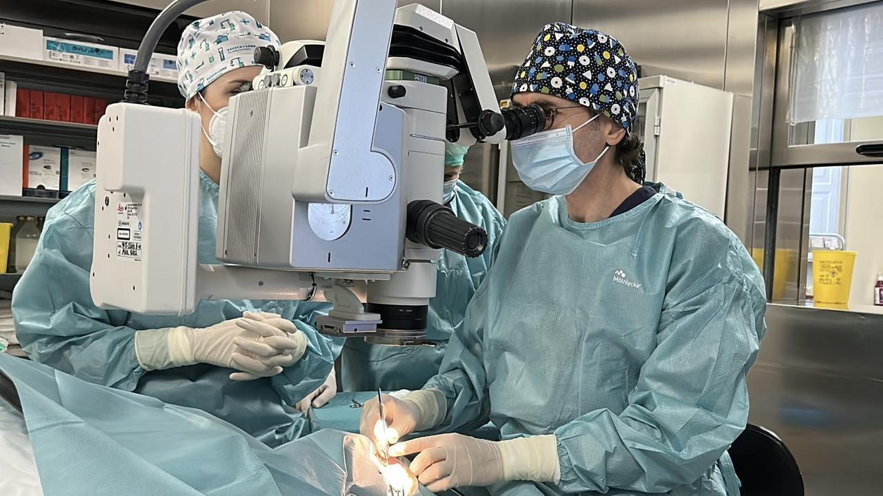 Cagliari capitale mondiale della cornea, trapianti in diretta e mille oculisti da 52 Paesi