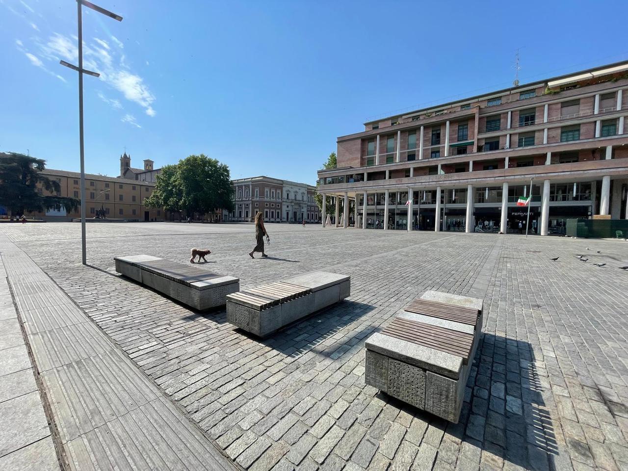 Microforeste contro il caldo: cos'è il metodo Miyawaki che il Comune vuole portare anche in piazza della Vittoria