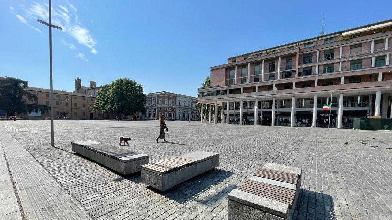 Microforeste contro il caldo: cos'è il metodo Miyawaki che il Comune vuole portare anche in piazza della Vittoria