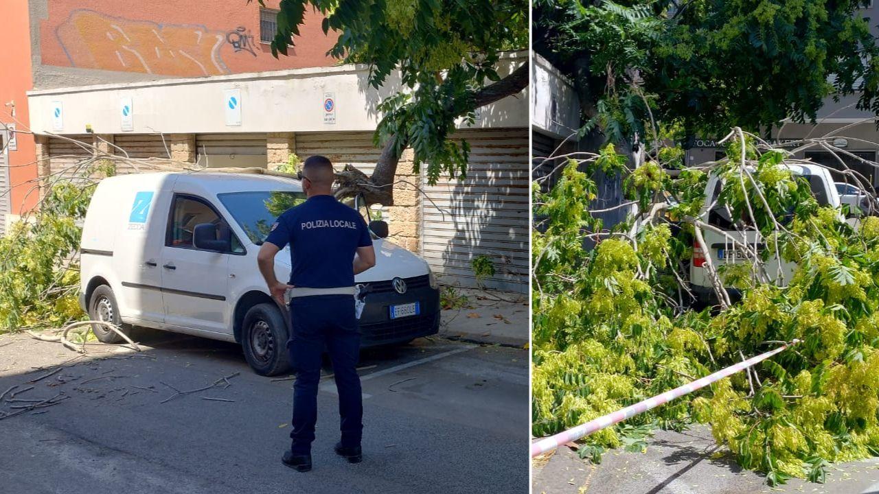 Sassari, crolla un ramo e travolge un furgone e il conducente: un uomo in ospedale