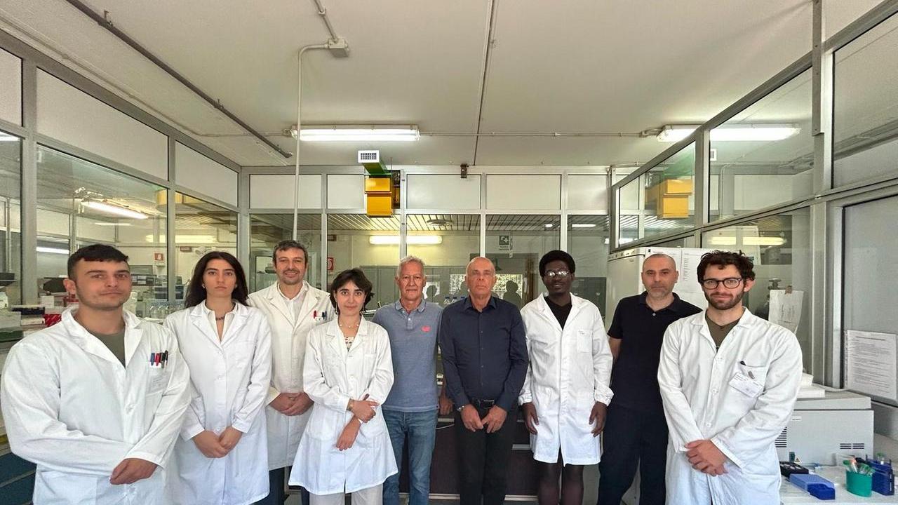 A Sassari il mondo della ricerca si confronta sui metalli presenti nell'ambiente e sulla salute umana