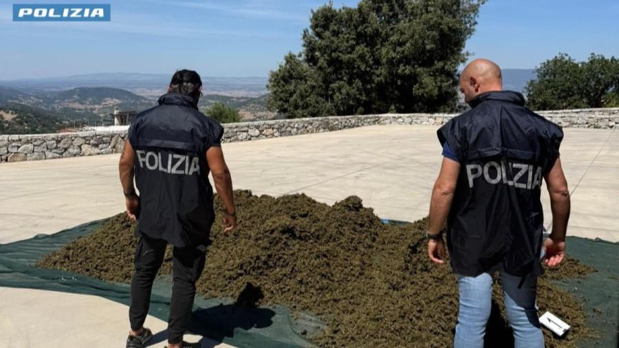 Maxi blitz antidroga nel Nuorese, sequestrati 700 chili di cannabis “potenziata” con additivo chimico e 6mila piante: arrestato un uomo