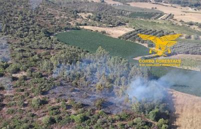 Sardegna in fiamme, un altro incendio nell’isola: il fuoco brucia le campagne