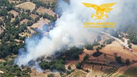 Fiamme nelle campagne di Lanusei, in azione un elicottero