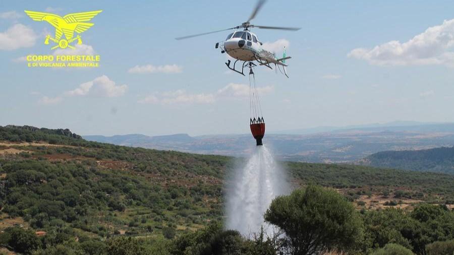 Emergenza incendi in Sardegna, in volo due elicotteri per domare un vasto rogo: cosa sappiamo