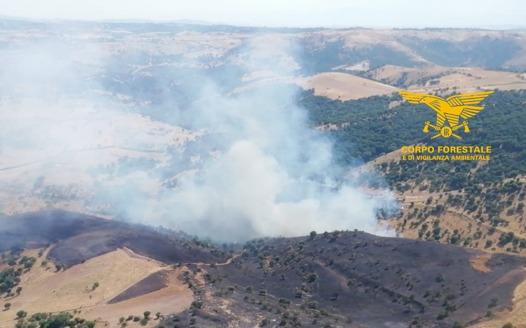 Emergenza incendi in Sardegna, le fiamme colpiscono lo stesso centro a distanza di 48 ore
