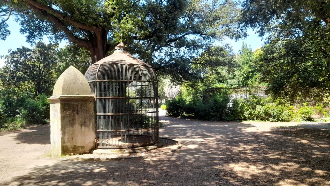 Il Parterre a Livorno