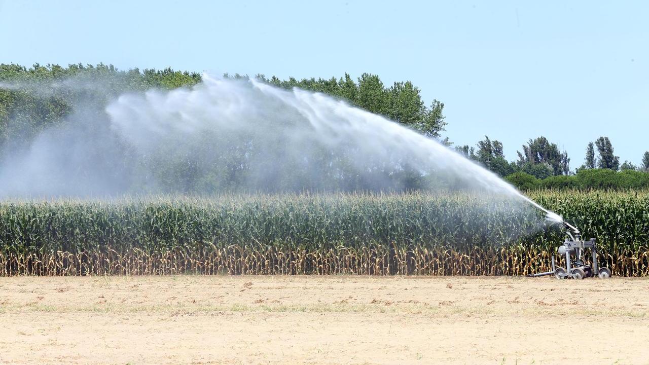 Ferrara, l’allarme di Confcooperative: «Sistema basato su un clima scomparso»
