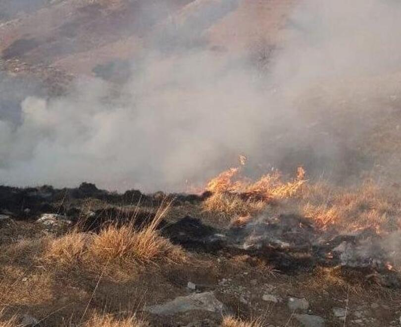 Lucca, incendi dolosi nei boschi: coppia di pastori assolta 