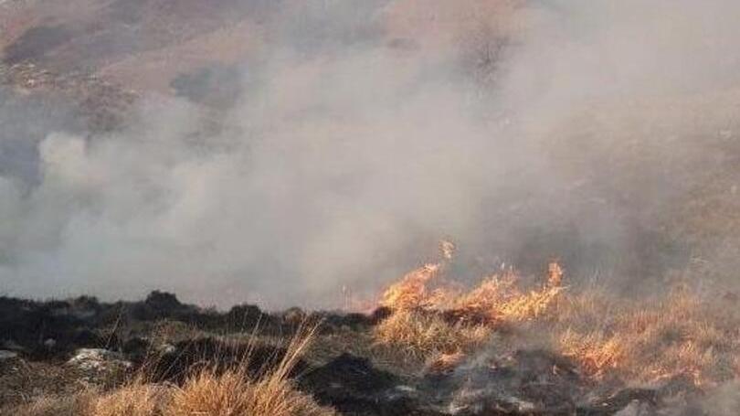 Lucca, incendi dolosi nei boschi: coppia di pastori assolta<br>