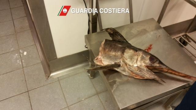 Sequestrati oltre 200 chili di pesce scaduto, denunciato un sassarese 