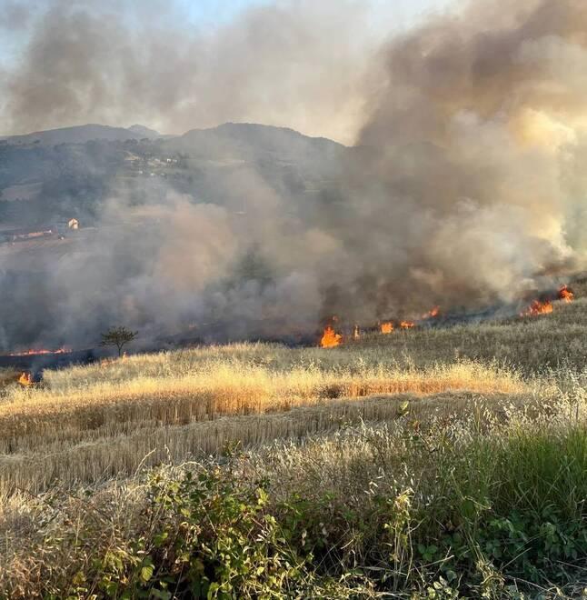 Castelnovo Monti, bruciano più di tre ettari di campi. «In salvo stalle e abitazioni»