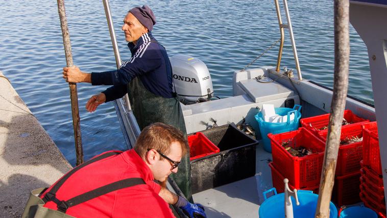 La scienza e la lotta al granchio blu: Blue crabnet è il progetto vincitore