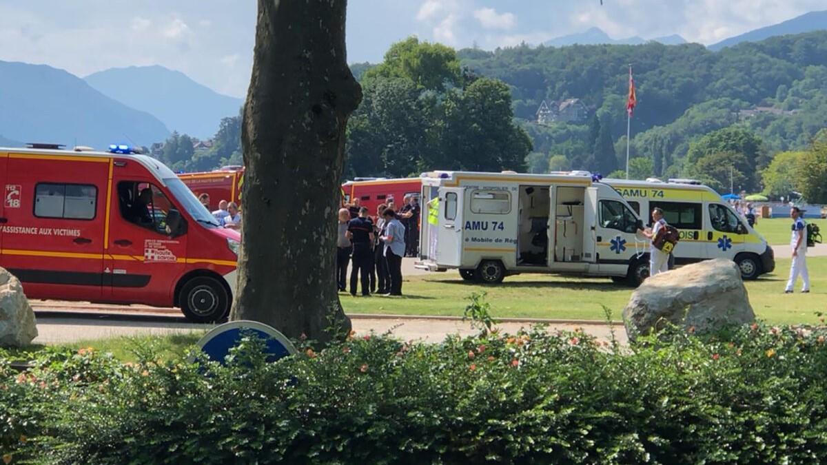 Precipita aereo da turismo, undici vittime: a bordo infermieri per il "battesimo" del volo – Che cosa è successo