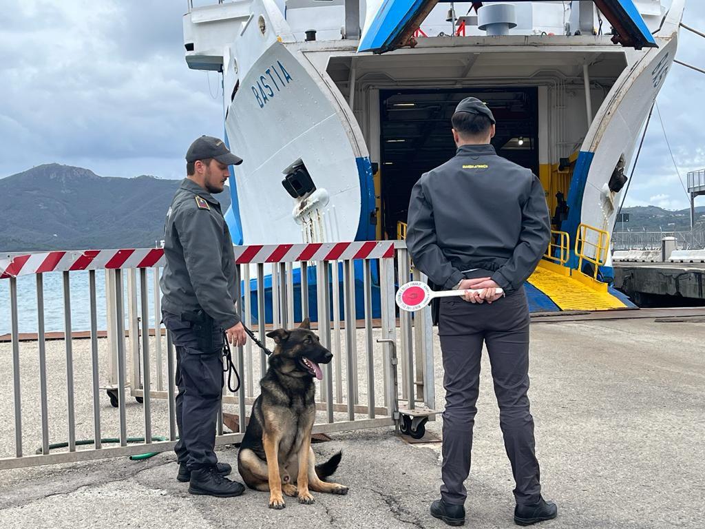 Finanzieri durante un controllo (foto d'archivio)