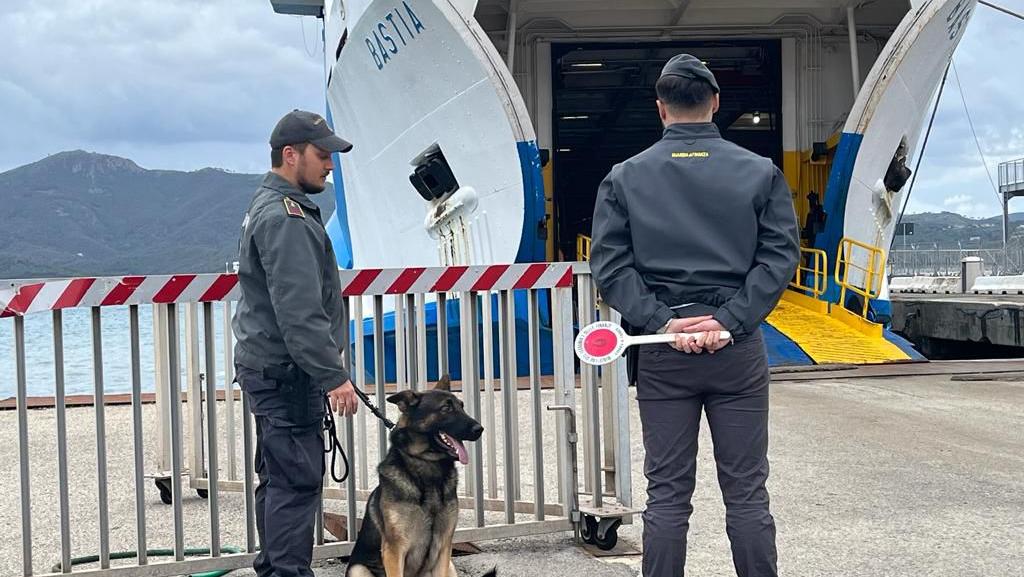 Finanzieri durante un controllo (foto d'archivio)