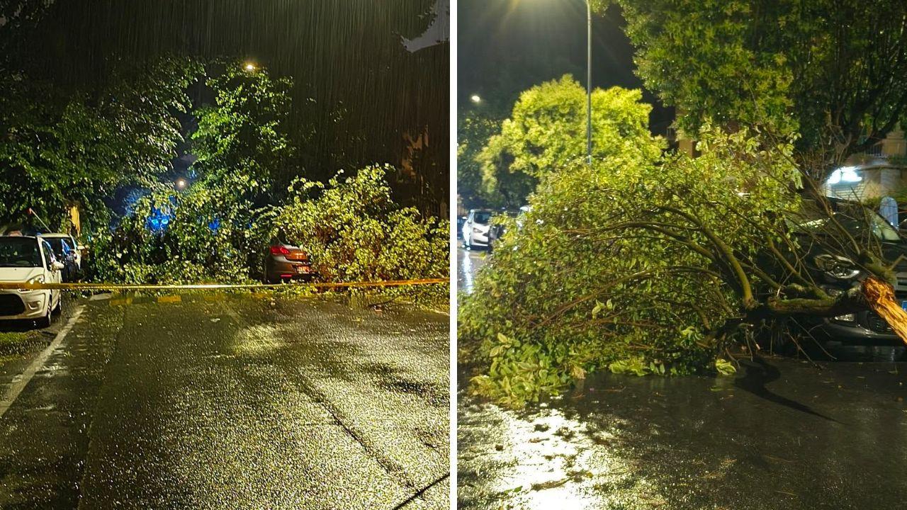 Maltempo in Toscana, notte di danni: in provincia di Pisa alberi ko e muri ceduti. Ancora temporali in arrivo