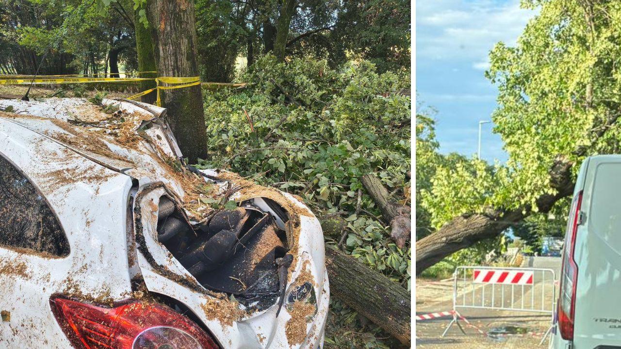 Maltempo in Toscana, notte di danni: in provincia di Pisa, Lucca e Versilia alberi e strade ko. Ancora temporali in arrivo